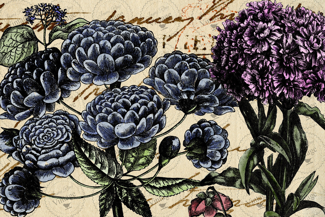 Pétales | JRV Decoupage Paper