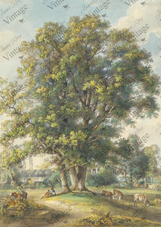 JV Rice Paper Sheet Cows Under A Tree