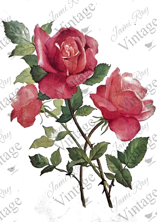 JRV Rice Paper Sheet Roses