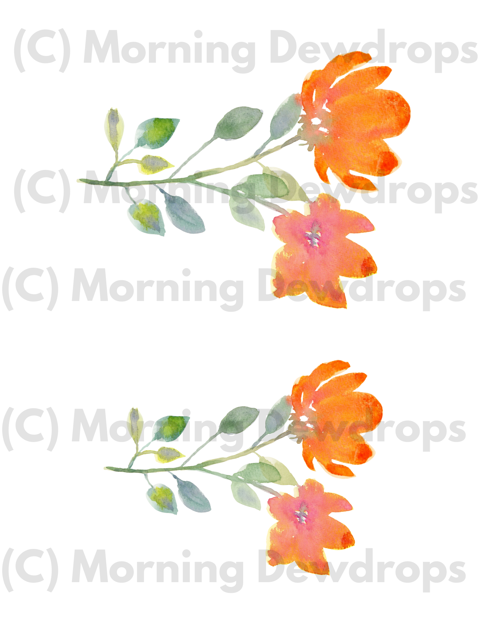 Watercolor illustration of orange flowers with green leaves on a white  background. 
Hand-painted watercolor florals and blooms for art journaling and mixed media. Soft blooms, leafy stems, and expressive petals in PNG and PDF. Perfect for collage layering.  Painted with DIY Paint by adding a lot of water to the paint.