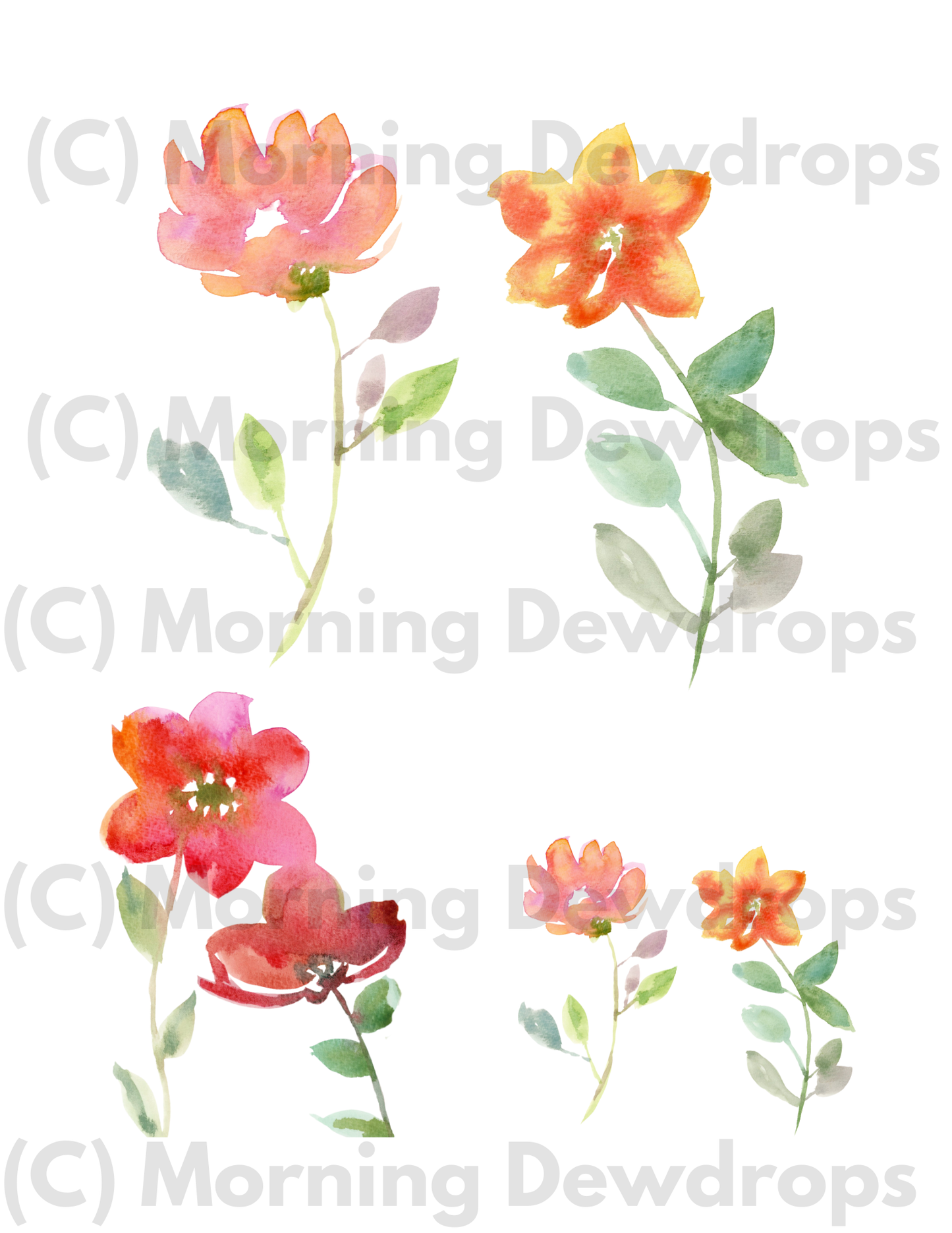 Set of watercolor flowers in orange, red and yellow with green leaves on a white background, labeled 'Morning Dewdrops'.
Hand-painted watercolor florals and blooms for art journaling and mixed media. Soft blooms, leafy stems, and expressive petals in PNG and PDF. Perfect for collage layering.  Painted with DIY Paint by adding a lot of water to the paint.