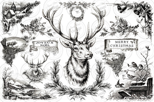Christmas Stag